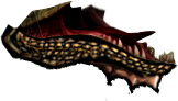 Graphic designers dragon bottom